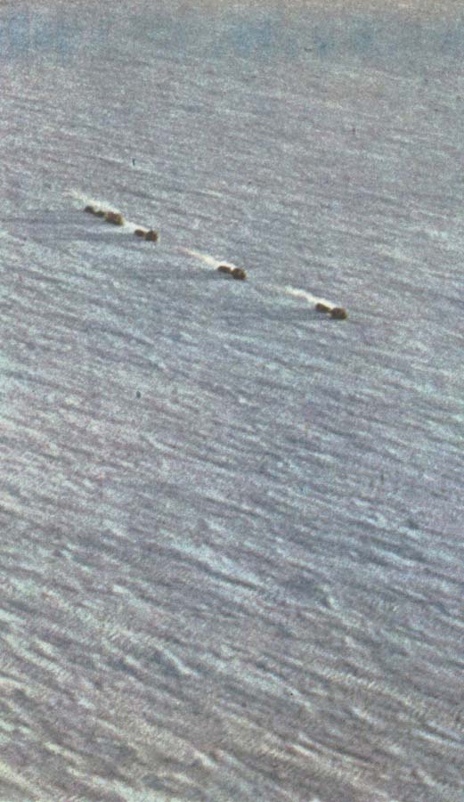 william r clark fuchs karavan av snovesslor startar mot sydpolen fran shackletonlagret vid weddellhavet